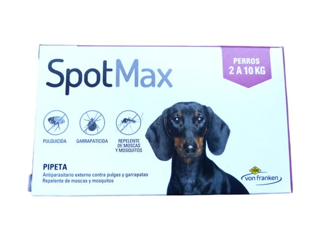 Spot Max Perros -10K